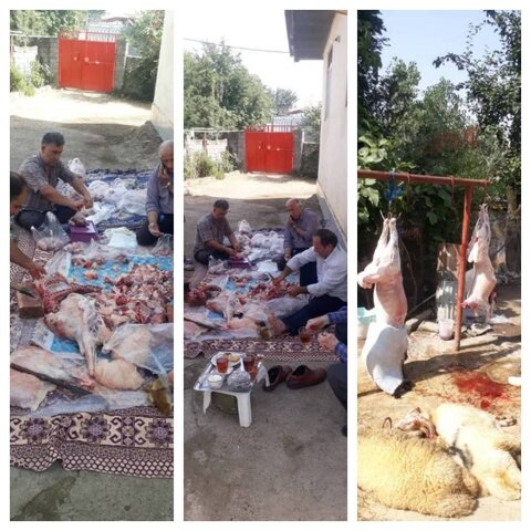توزیع نذورات گوشت قربانی بین مددجویان بهزیستی استان گیلان