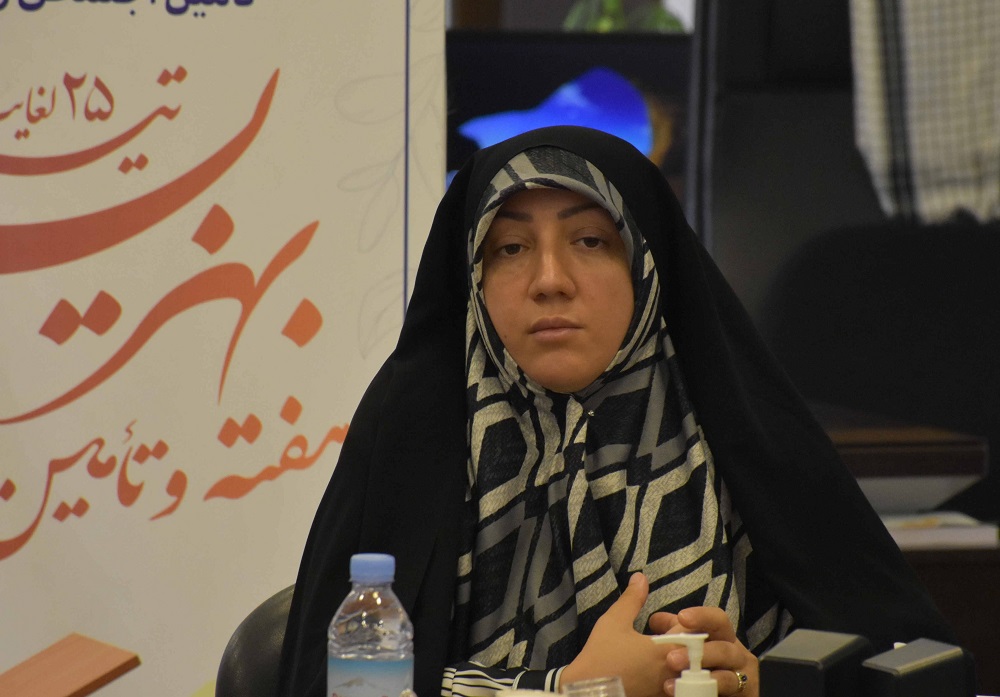 بر ضرورت همافزایی در چارچوب قوانین تاکید شد