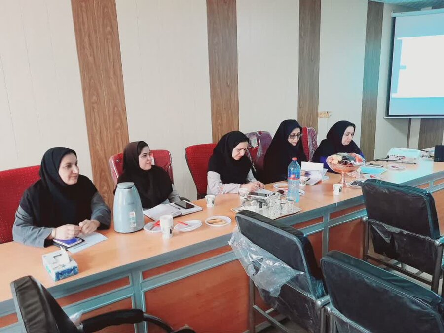 نشست تخصصی توانبخشی بهزیستی در جنوب استان کرمان