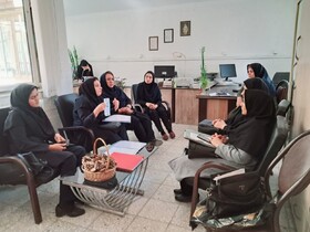 بررسی تخصصی مستندات فرآیند شکل‌گیری و فعالیت ۴ گروه همیار شهرستان کرمانشاه 