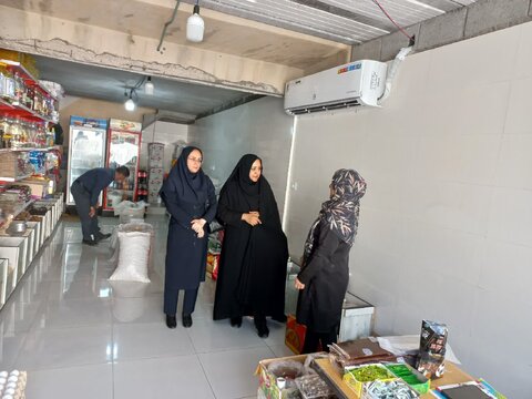 بازدید معاون امور اجتماعی بهزیستی بوشهر از طرح های اشتغالزایی زنان سرپرست خانوار در شهرستان کنگان