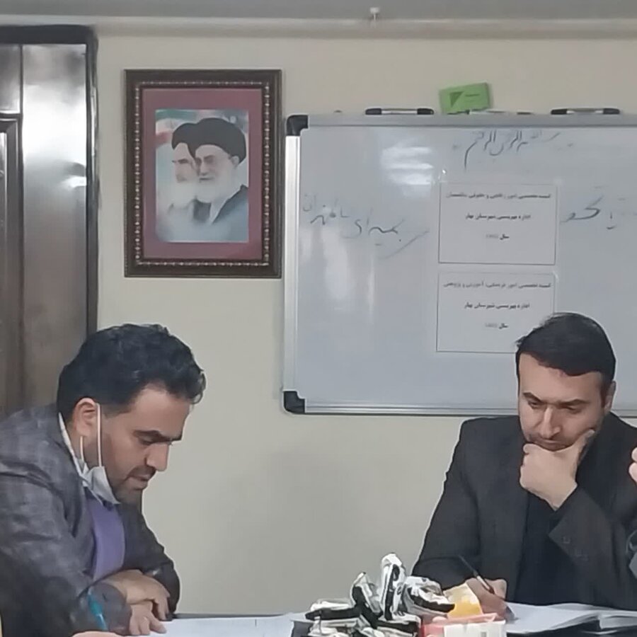 بهار| کمیته های تخصصی شورای سالمندان