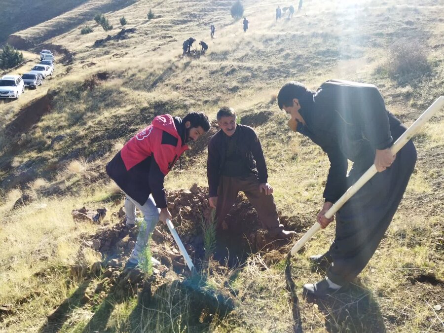 برگزاری مراسم درختکاری در سنندج