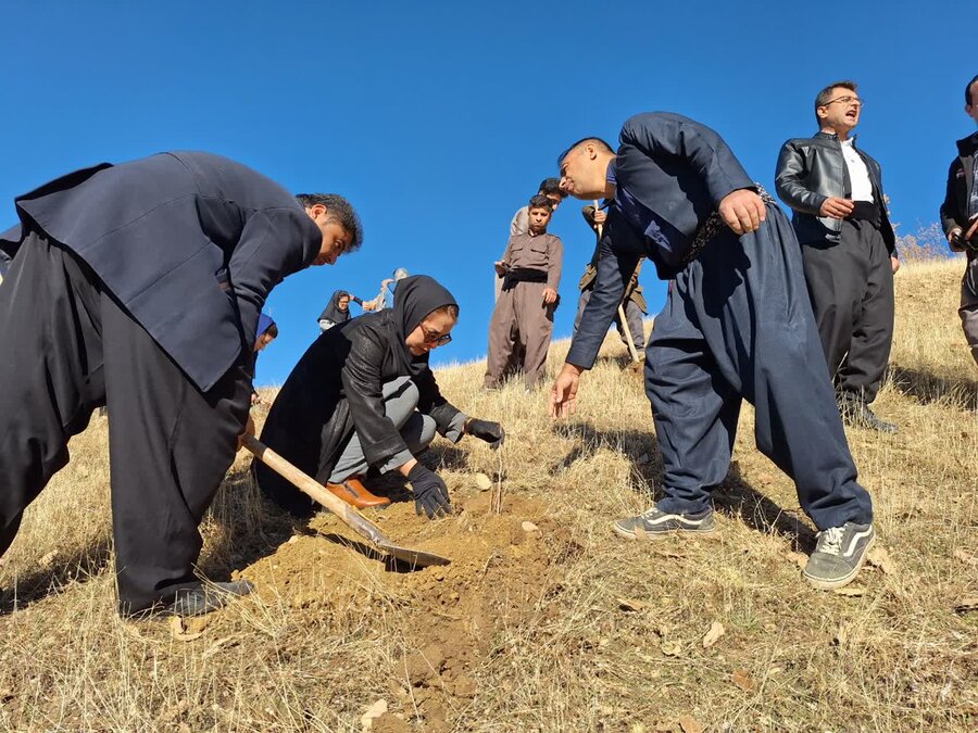 سروآباد/کاشت نهال بالندگی به مناسبت روز جهانی معلولین