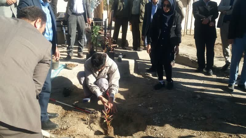 کاشت 100 نهال به نام نخبگان دارای معلولیت در بافت کاشت 100 نهال به نام نخبگان دارای معلولیت در بافت