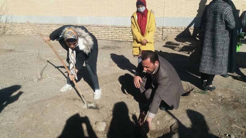 کاشت 100 نهال به نام نخبگان دارای معلولیت در بافت کاشت 100 نهال به نام نخبگان دارای معلولیت در بافت