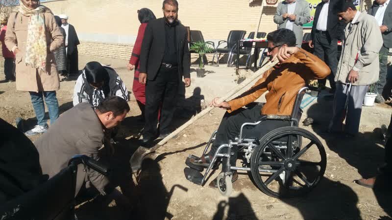 کاشت 100 نهال به نام نخبگان دارای معلولیت در بافت کاشت 100 نهال به نام نخبگان دارای معلولیت در بافت