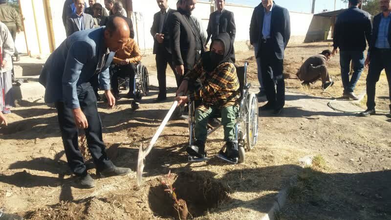 کاشت 100 نهال به نام نخبگان دارای معلولیت در بافت کاشت 100 نهال به نام نخبگان دارای معلولیت در بافت