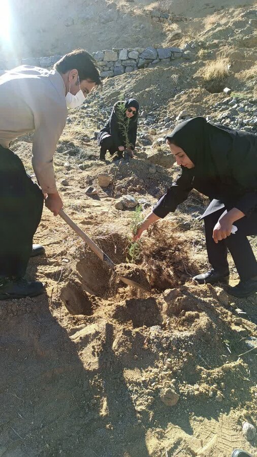 حضور معلولین کامیارانی در طرح مردمی کاشت یک میلیارد درخت در کشور