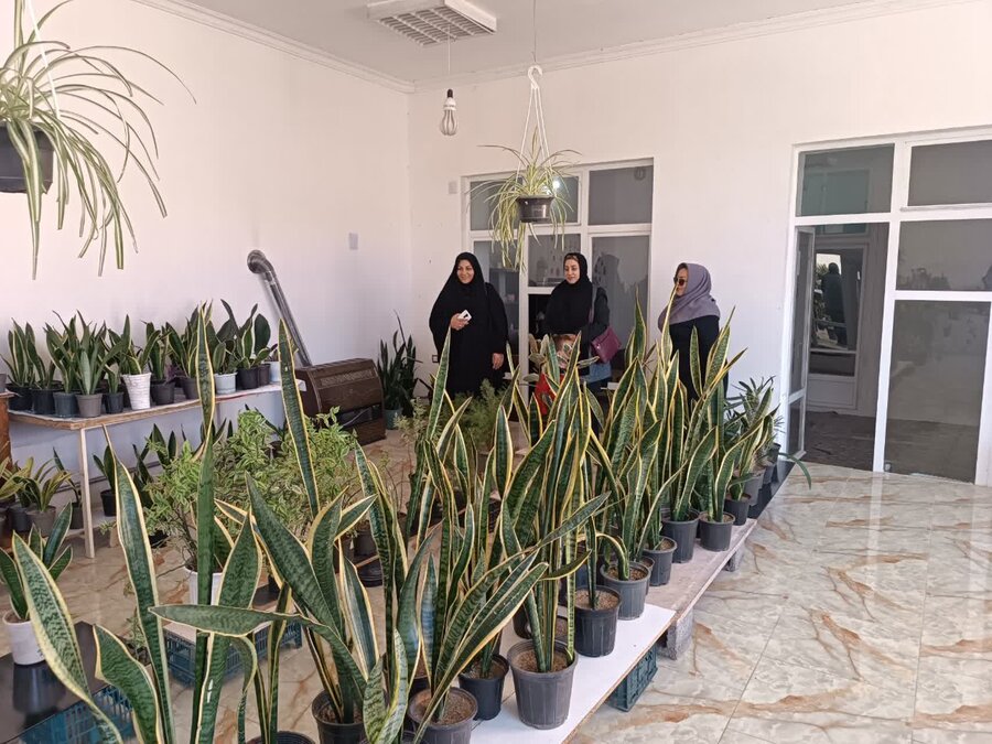 برپایی نمایشگاه گل و گیاه و صنایع دستی در کارگاه تولیدی حمایتی یاغیش بهزیستی شاهین دژ
