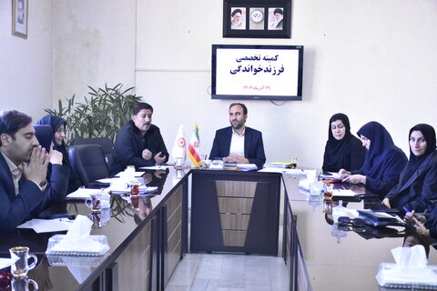 کمیته تخصصی فرزندخواندگی بهزیستی استان کرمانشاه