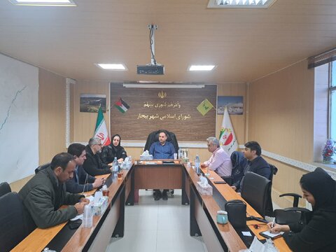 جلسه مناسب سازی اماکن و معابر عمومی در شورای شهر بیجار