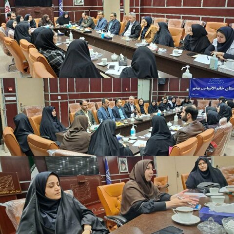 بهشهر| برگزاری نشست تخصصی مددکاران بهزیستی و دانشگاه علوم پزشکی مازندران در شهرستان بهشهر