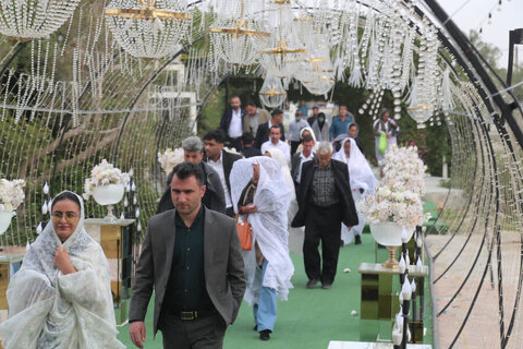 جشن ازدواج آسان ۲۲۰ زوج تحت پوشش بهزیستی  بوشهر با حضور رئیس قوه قضاییه