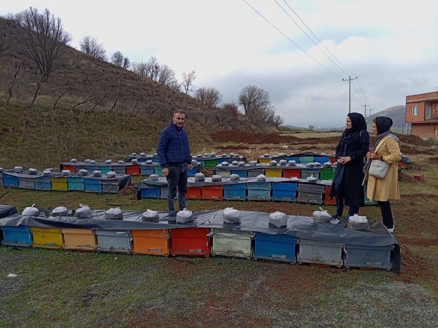 مریوان / افتتاح طرح زنبورداری روستایی