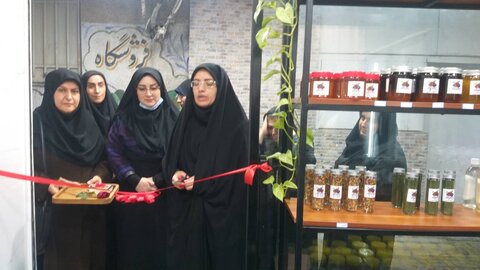 تنکابن| طرح اشتغال زایی تولید محصولات ارگانیک گروه همیار بانوان در شهرستان تنکابن افتتاح شد
