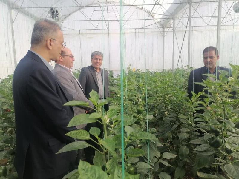 نجف آباد | آئین افتتاح طرح های اشتغال در ایام دهه فجر