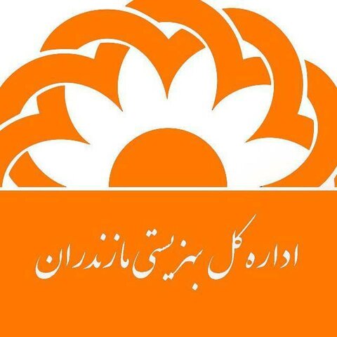 گزارش عملکرد اداره کل بهزیستی استان مازندران در ایام الله دهه مبارک فجر