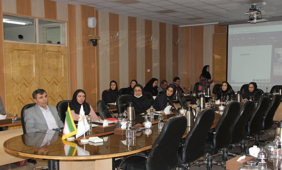 برگزاری دوره آموزشی آسیبشناسی روانی با حضور مشاوران خط ۱۴۸۰ و مشاوران مراکز مشاوره دولتی