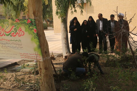 کاشت درخت زیتون بیاد کودکان غزه