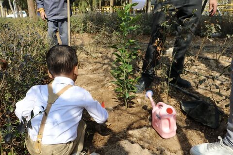 کاشت نهال درخت توسط خانواده‌های فرزند پذیر بهزیستی یزد