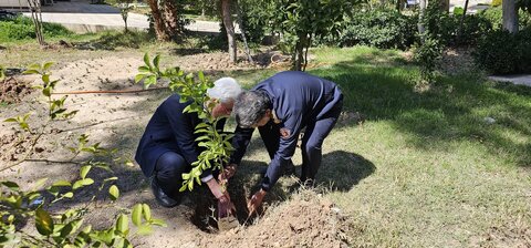 گزارش تصویری|کاشت نهال توسط مدیر کل بهزیستی فارس با هددف ترویج فرهنگ درختکاری,حفاظت از منابع طبیعی و ضرورت توسعه فضای سبز