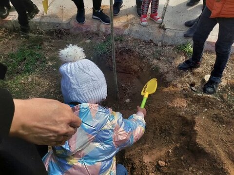 گزارش تصویری| نهال زندگی در سایه‌سار آرامش / خانواده های فرزند پذیر درخت کاشتند