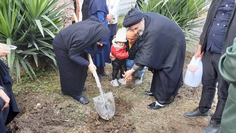 محمود آباد | مراسم روز درختکاری و کاشت نهال ایثار در اداره بهزیستی شهرستان محمودآباد برگزار شد