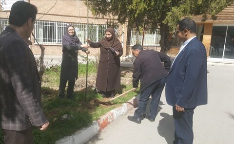 کاشت درخت در اداره بهزیستی شهرستان کرمانشاه