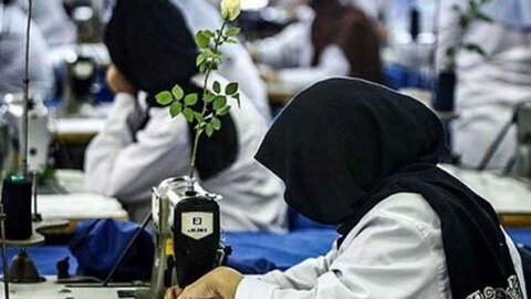 در رسانه| سه هزار و ۸۹ زن سرپرست خانوار تحت پوشش بهزیستی زنجان هستند