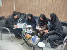 بازدید سرپرست اداره پذیرش و هماهنگی بهزیستی استان بوشهر از مراکز بیماران اعصاب و روان و سالمندان در دشتستان