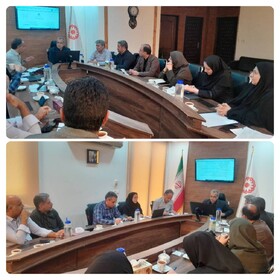 جلسه بررسی ساختار سازمانی و تشکیلات تفصیلی در بهزیستی خراسان جنوبی برگزار شد