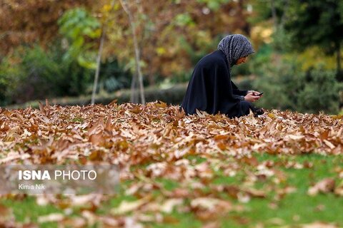 دررسانه|راه‌اندازی ۶۰ باشگاه ‌مهارت‌های‌ زندگی در مراکز مشاوره بهزیستی خوزستان