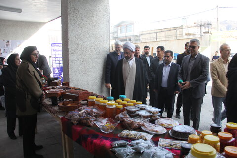 گزارش تصویری| آیین بزرگداشت روز جهانی معلولان و تقثدیر از حادمان اربعین حسینی در بهزیستی