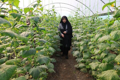 بهزیستی مازندران