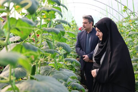 بهزیستی مازندران