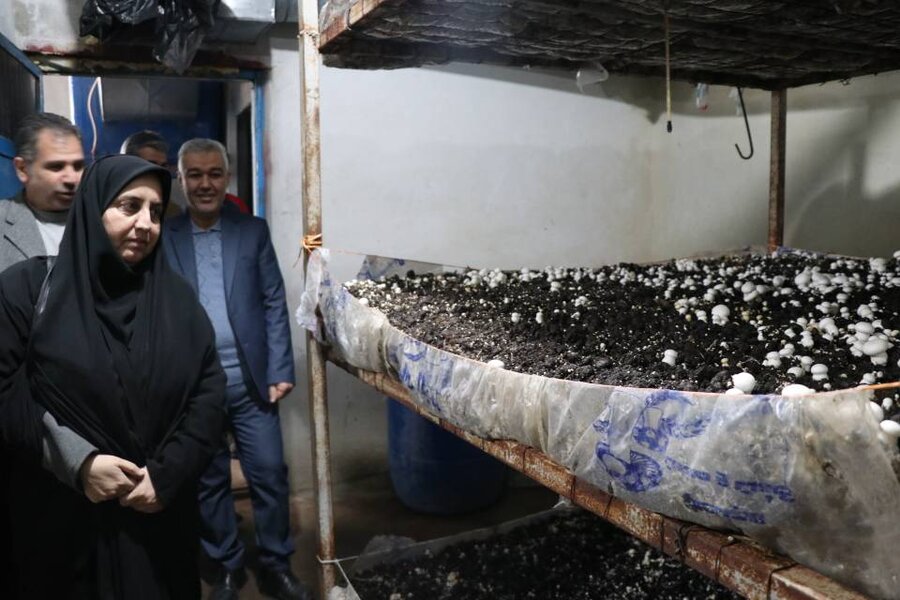 افتتاح ۲۲ طرح خوداشتغالی برای مددجویان بهزیستی آذربایجان غربی