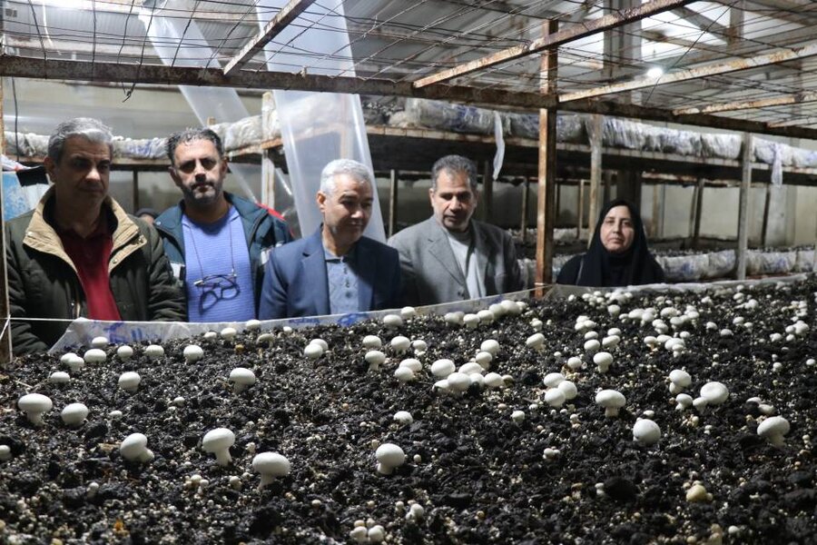 افتتاح ۲۲ طرح خوداشتغالی برای مددجویان بهزیستی آذربایجان غربی