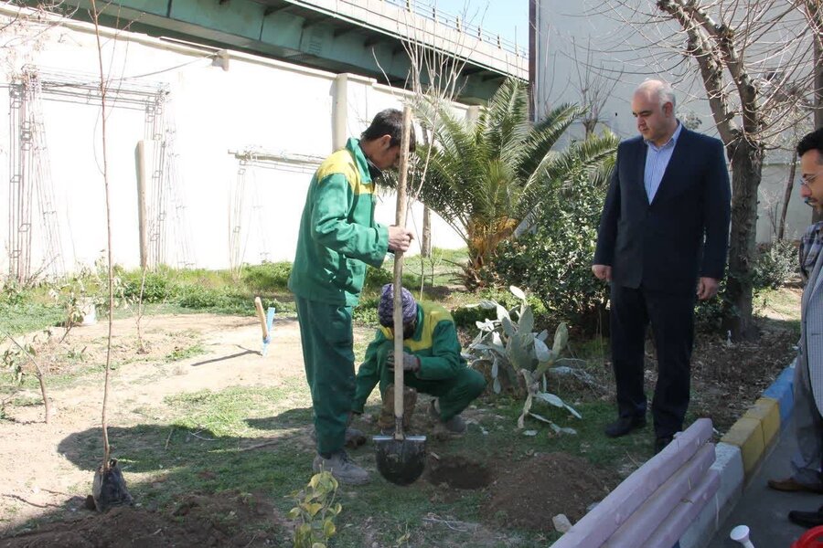 شهرستان تهران | کاشت نهال به مناسبت روز درختکاری