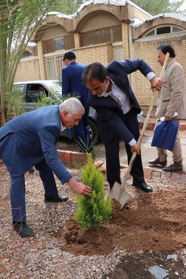 غرس درخت توسط مدیرکل بهزیستی استان کرمان
