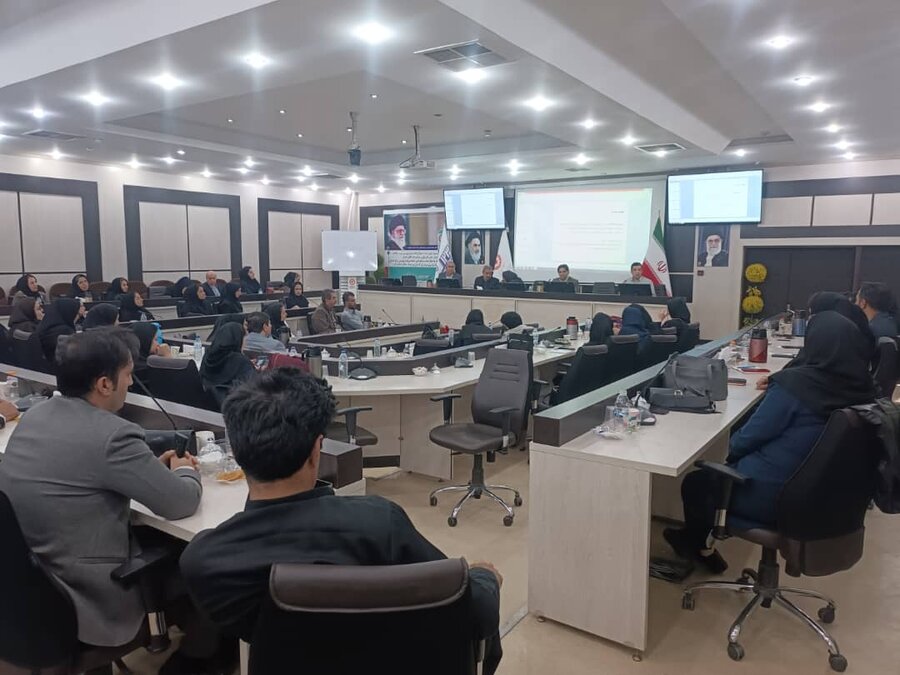 دوره آموزشی تجهیزات کمک توانبخشی برای کارشناسان و مددکاران بهزیستی کردستان برگزار شد