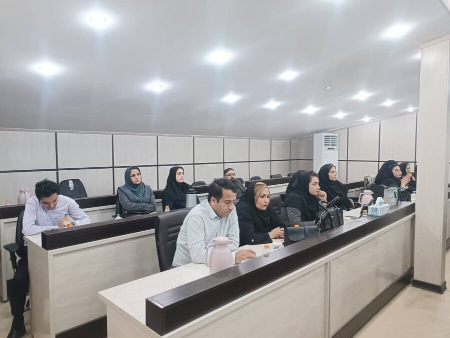 دوره آموزشی تجهیزات کمک توانبخشی برای کارشناسان و مددکاران بهزیستی کردستان برگزار شد