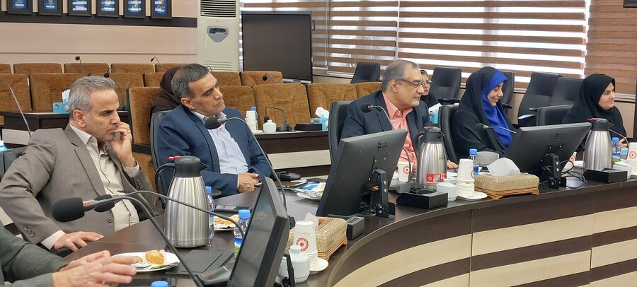 نشست رئیس سازمان بهزیستی با دبیرخانه ها