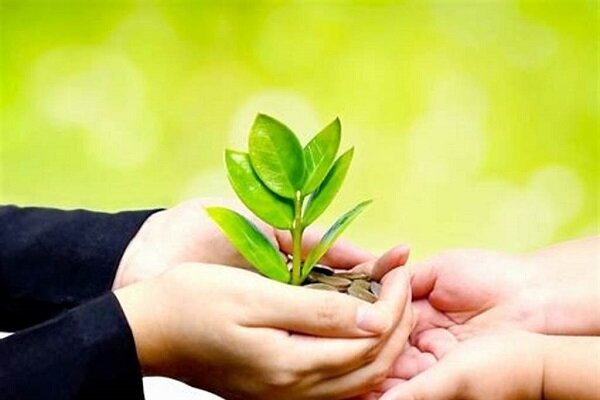افزایش ۵۶ درصدی بودجه بهزیستی در سال ۱۴۰۴ / افزایش بودجه مستمری و قانون حمایت از حقوق معلولان