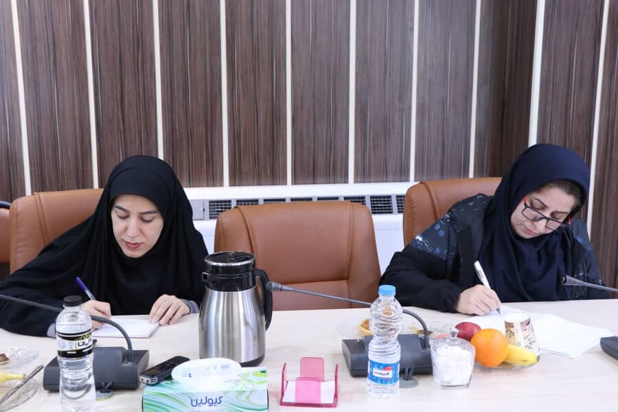 حضور معاون وزیر تعاون ،کار و رفاه اجتماعی در گیلان