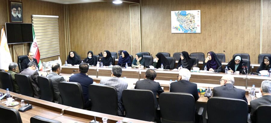 نشست کارشناسی مقام عالی وزارت تعاون، کار و رفاه اجتماعی با سازمان بهزیستی کشور برگزار شد