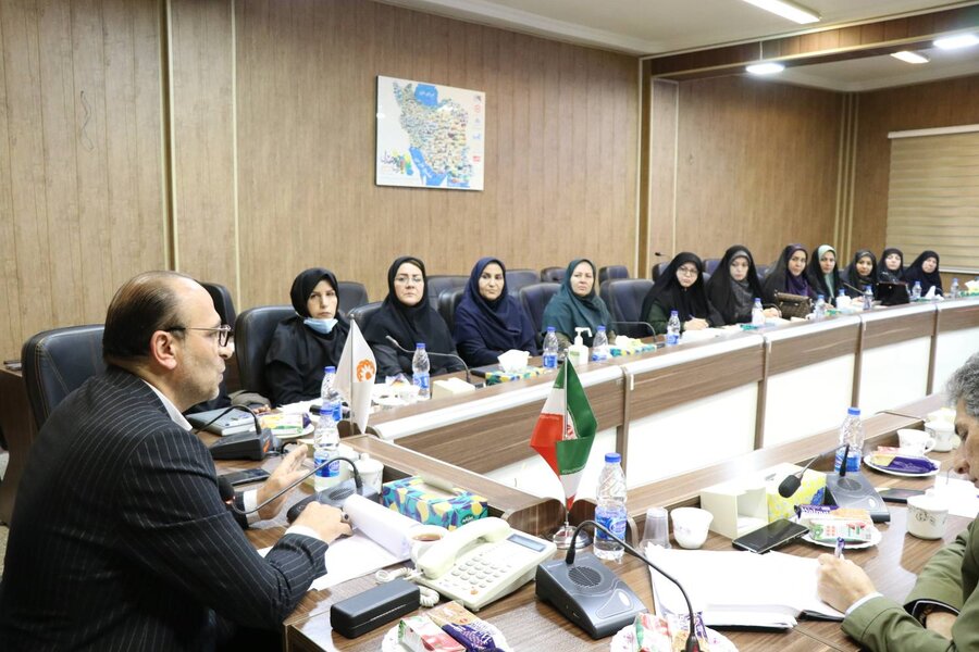 نشست کارشناسی مقام عالی وزارت تعاون، کار و رفاه اجتماعی با سازمان بهزیستی کشور برگزار شد