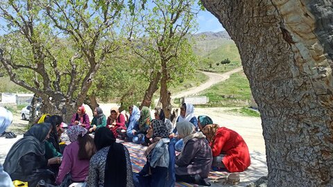 برگزاری اردوی زیارتی تفریحی در کامیاران