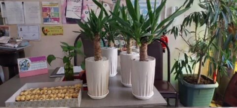 جشنی صمیمی به مناسبت روز روان‌شناس و روز معلم برگزار شد