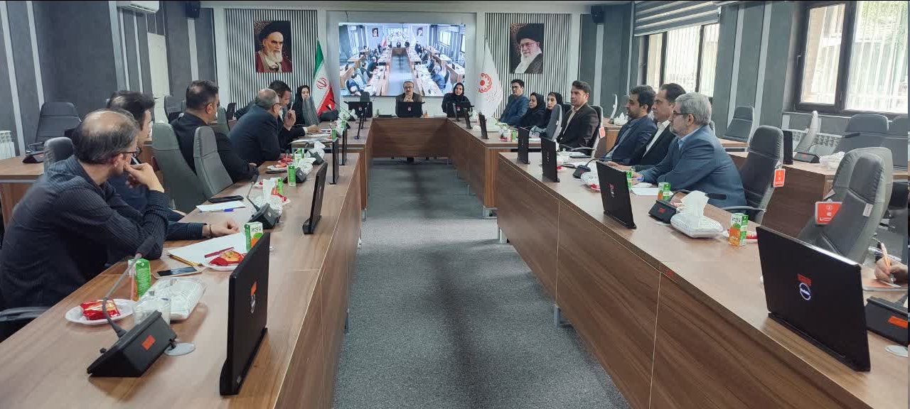 از برگزاری اولین انجمن ادبی و موسیقی بنیاد فرزانگان برنادلان تا اتاق فکر تخصصی "همدان، شهر دوستدار سالمند" / اجرای طرح پژوهشی شهر دوستدار سالمند